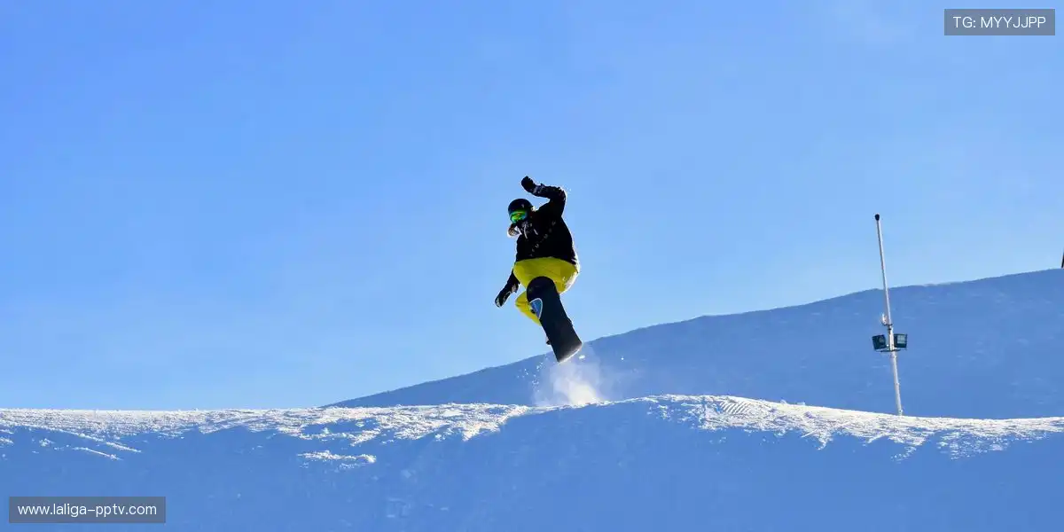 赛事画面呈现高清纹理细节